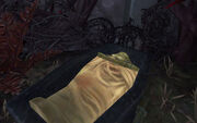 Mummified Remains