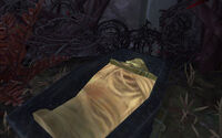 Mummified Remains
