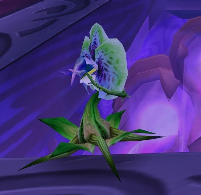 Green Seedling (1)