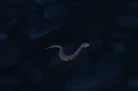 Image of Slithering Brownscale