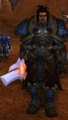 Varian at Dranosh'ar Blockade in the Siege of Orgrimmar.