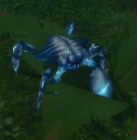 Image of Great Sea Crab