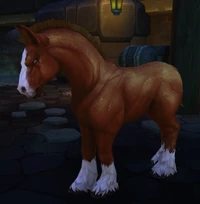 Image of Kul Tiran Horse
