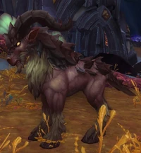 Image of Skittish Chitinbuk