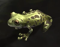 Image of River Frog