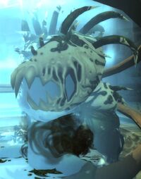 Image of Sha Manifestation