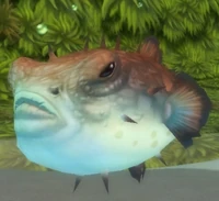 Image of Spotted Swellfish