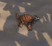Image of Wanderer's Festival Hatchling