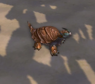 Wanderer's Festival Hatchling - Wowpedia - Your wiki guide to the World of  Warcraft