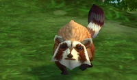 Image of Masked Tanuki