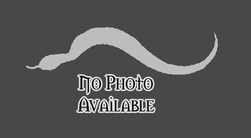 Swamp Python - Wowpedia - Your wiki guide to the World of Warcraft