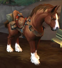 Image of Fizzsprings Rental Horse