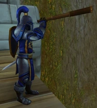 Image of Stormwind City Lookout