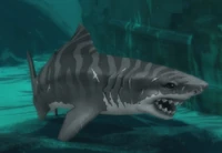 Image of Grallian Idol