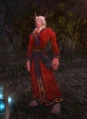 As a male blood elf magister