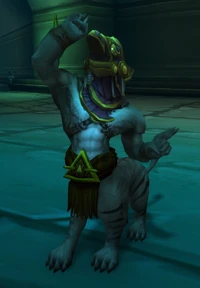 Image of Vir'Naal Priest