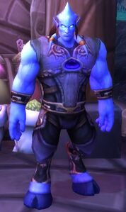 Image of Elodor Villager