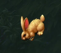 Image of Valley Cottontail