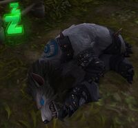 Image of Dreaming Guardian