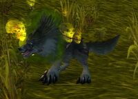 Image of Diseased Timber Wolf