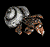Hermitcrab.gif