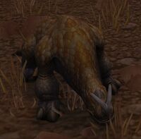 Image of Kodo Calfling