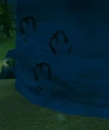 Tauren hoofprints on a stone in Mulgore.