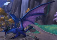 Image of Preening Dragon