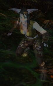 Rangari Sheera - Tanaan