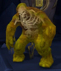 Image of Experimental Trial