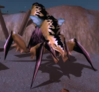 Image of Krkk'kx