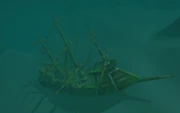 The shipwreck under the Misty Shores.