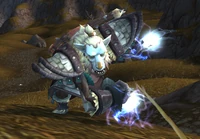 Image of Ookin Shaman