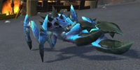 Image of Azure Prickly Crawler