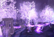 Crystalsong Forest