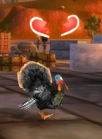 Image of Lonely Turkey