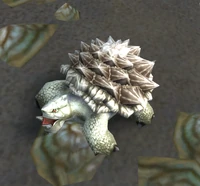 Image of Sand Turtle