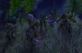 Night elf wardens