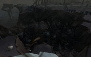 Emerald Dragonshrine End Time