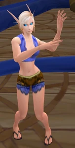 Image of High Elf Boat Partygoer