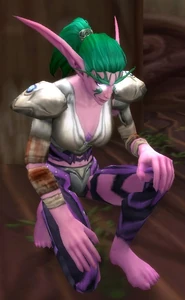 Image of Injured Sentinel