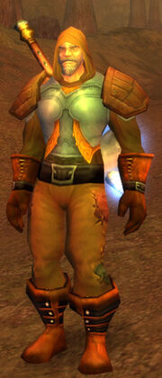 Tirion Fordring in World of Warcraft.