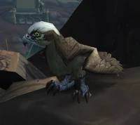 Image of Trained Seahawk