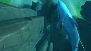 Orb 6: Find the toothless shark, cave entrance located under him