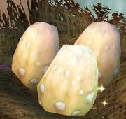 Talonshrike's Egg