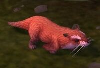 Image of Sifang Otter