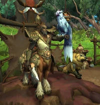 Image of Trainer Frodrum