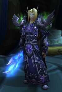 Image of Arcanist Braedin