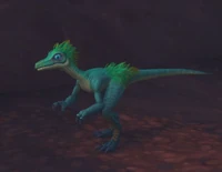 Image of Child of Jani