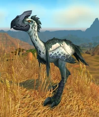 Image of Fleeting Plainstrider